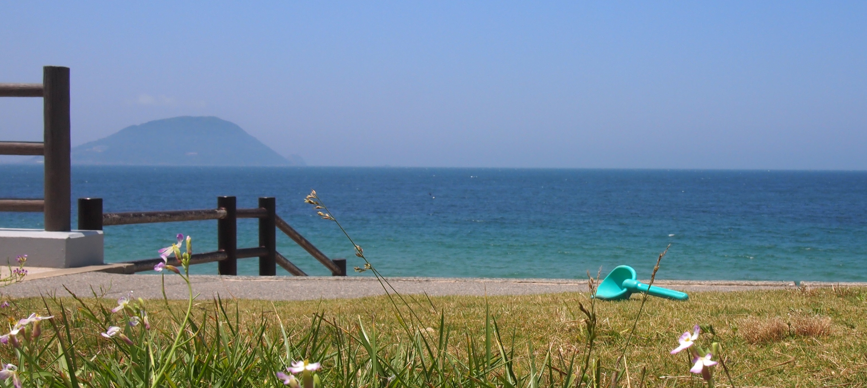 海